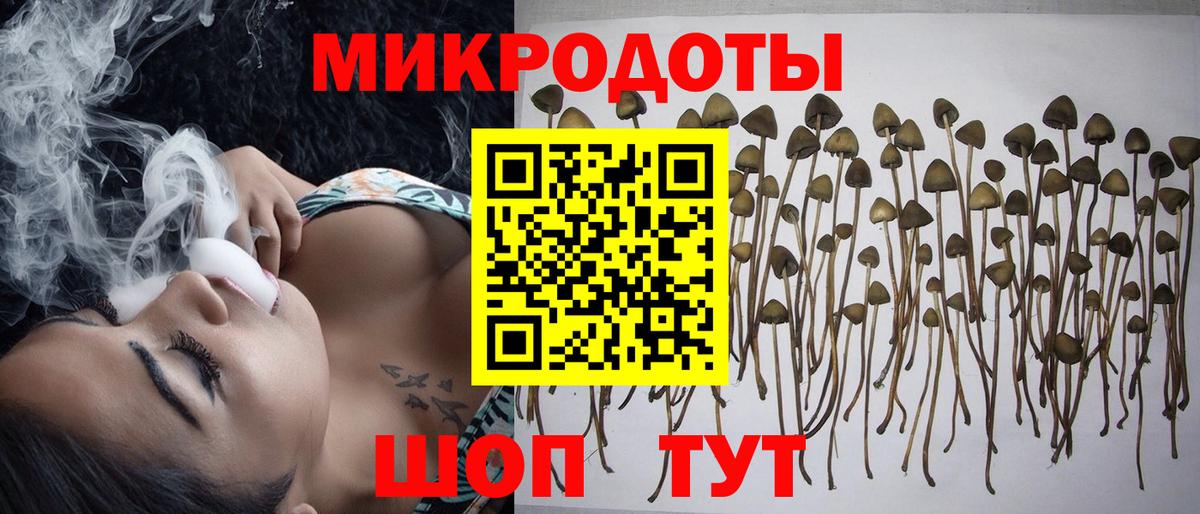 Галлюциногенные грибы мицелий  Вход с VPN  Калач-на-Дону 